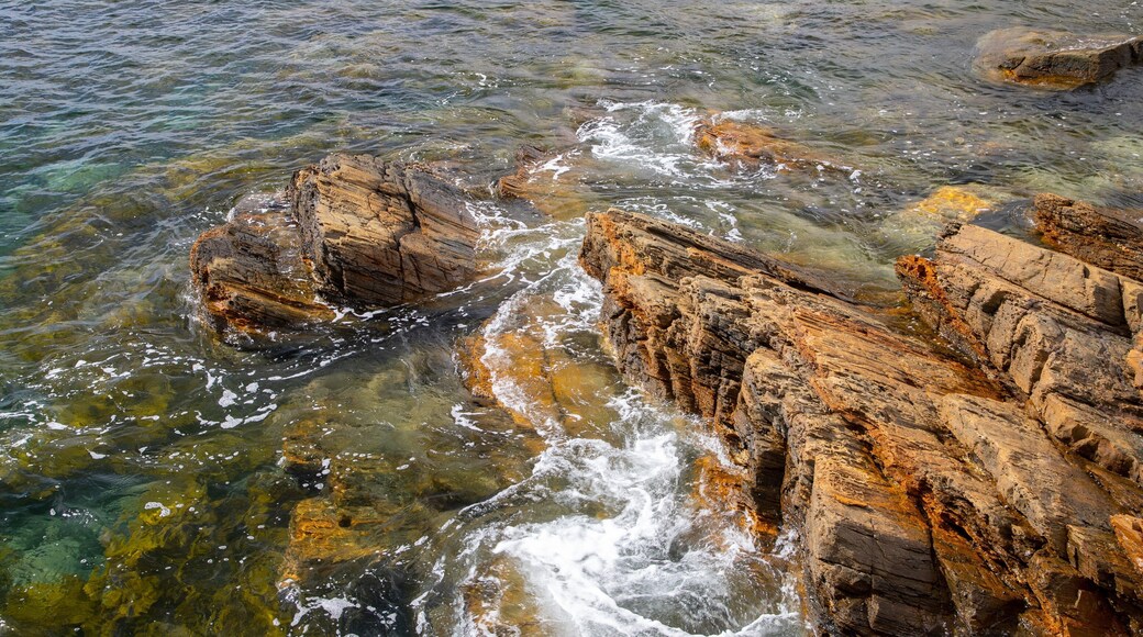 Second Valley featuring rugged coastline and general coastal views