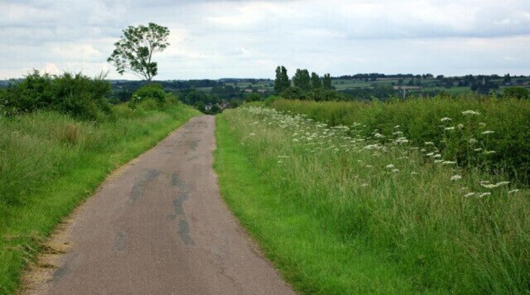 Private Road across Coldharbour Hill This is a private road, signed no vehicles except for access to farms, but it is also a public footpath. It is seen here descending from Coldharbour Hill to Harrold.