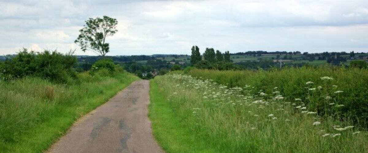 A narrow rural road flanked by tall grass and wildflowers, leading towards a distant tree line.