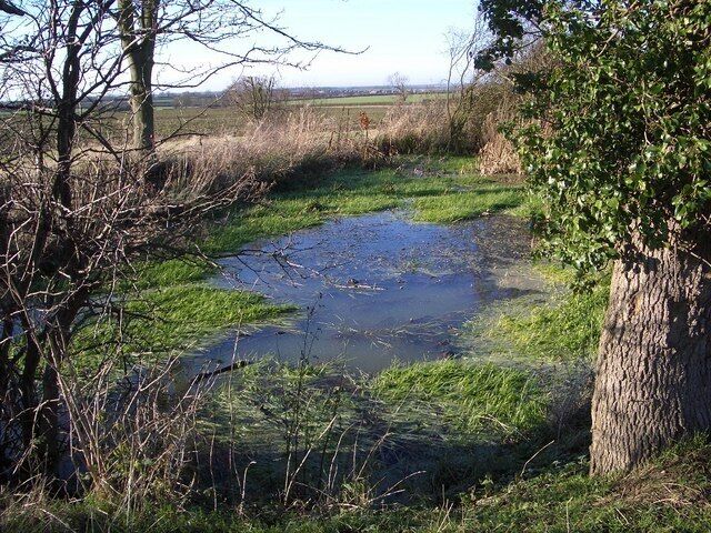 Pond adjacent to Three Shire Bridleway This pond is a surprise in that it is essentially on the top of the ridge along which this part of the Three Shire Bridleway passes. Where does the water come from? It clearly forms a wildlife oasis that drains westward down a shallow valley towards Bozeat.