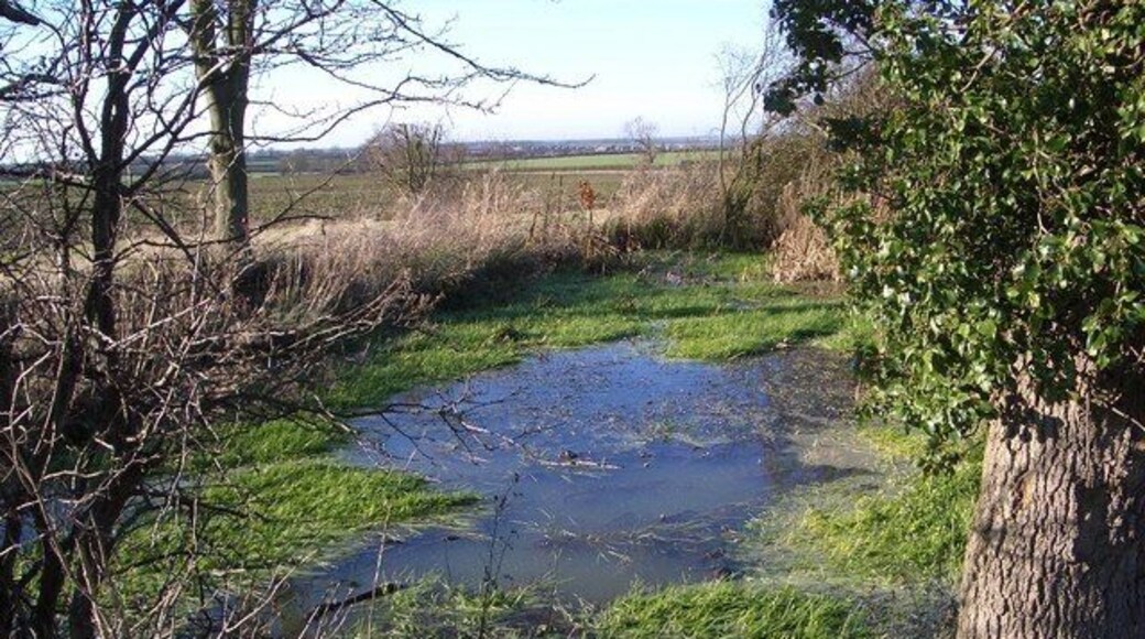 Pond adjacent to Three Shire Bridleway This pond is a surprise in that it is essentially on the top of the ridge along which this part of the Three Shire Bridleway passes. Where does the water come from? It clearly forms a wildlife oasis that drains westward down a shallow valley towards Bozeat.