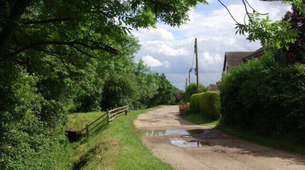 Wood Road, Harrold Unmade road on the northern edge of the village which peters out into a bridleway. Seen here looking towards the village.