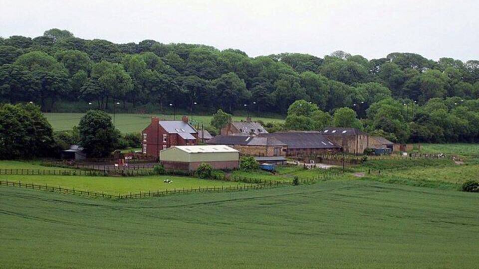 Over the Hill Farm
