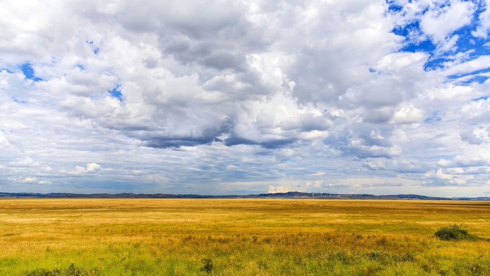 A vast open field with a cloudy sky.
