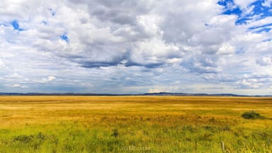 Some of the rest stops along the Federal Highway from Canberra to Sydney give you the most stunning views!