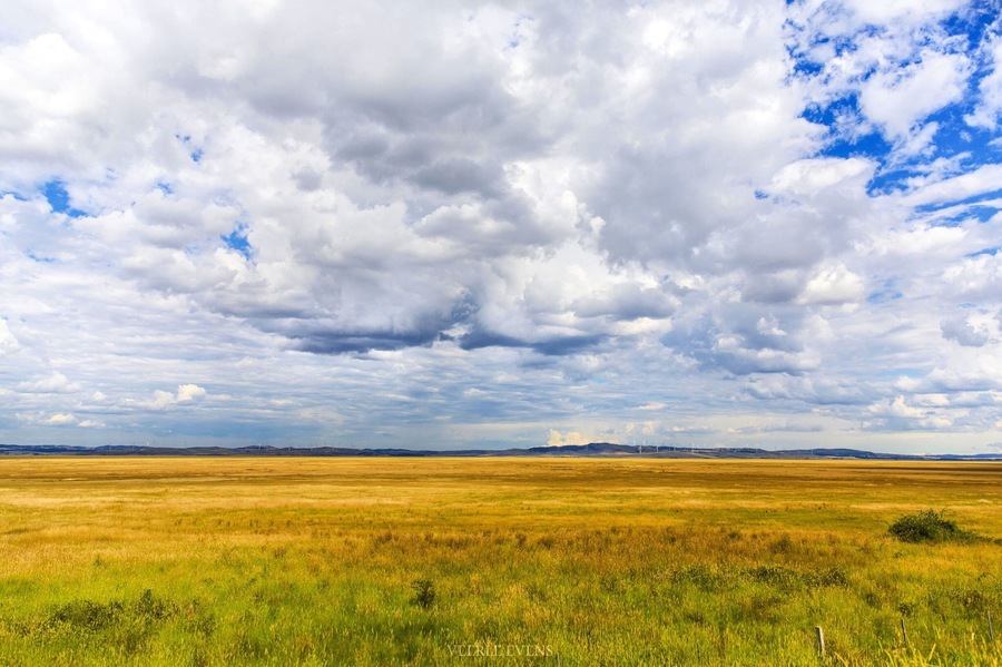 Some of the rest stops along the Federal Highway from Canberra  to Sydney give you the most stunning views!
