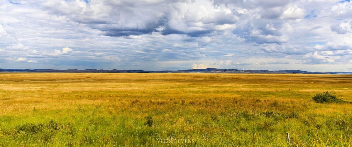 A vast open field with a cloudy sky.