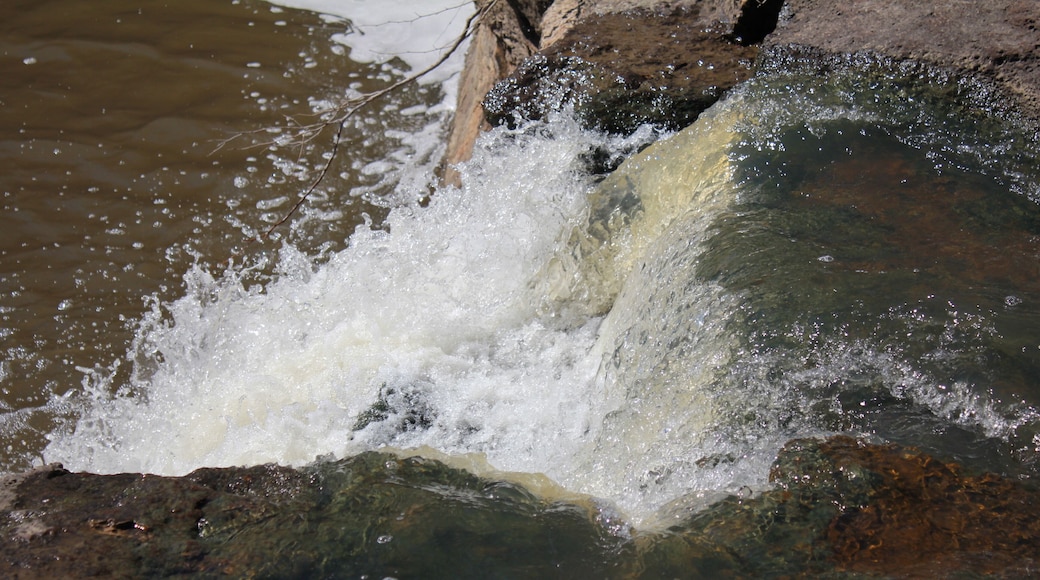Red Buffalo Ranch
Sedan Kansas
Butcher Falls one of the most beautiful natural water falls in South East Kansas
