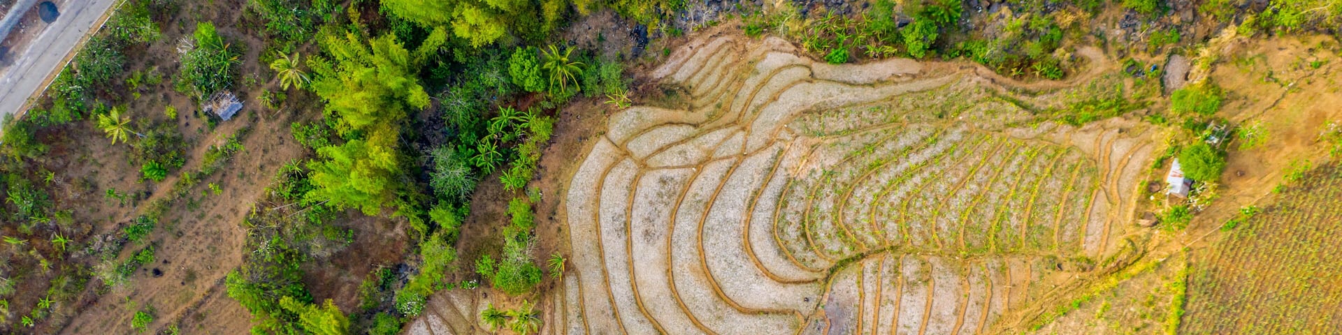 Terraced rice fields, a small white building, and dense green vegetation.