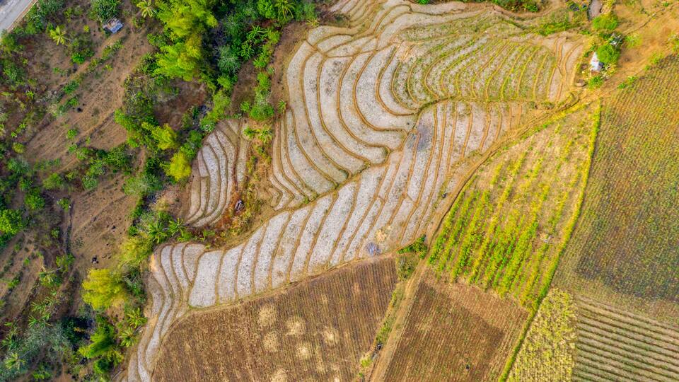 Rice Terraces, Cabagna-an Mansalanao, La Castellana, Neg. Occ., Philippines