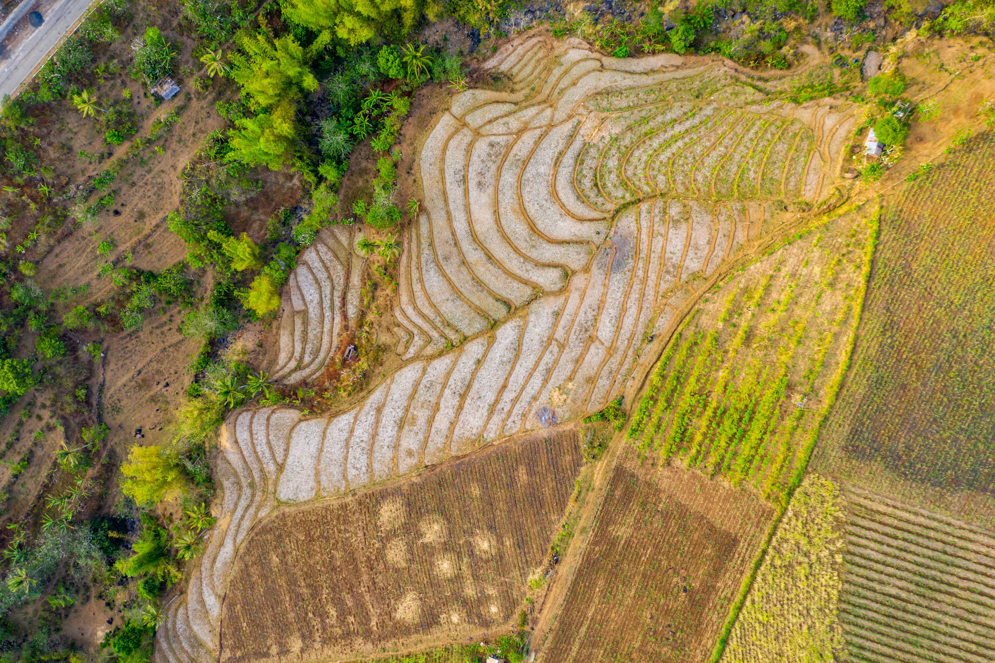 Terraced rice fields, a small white building, and dense green vegetation.