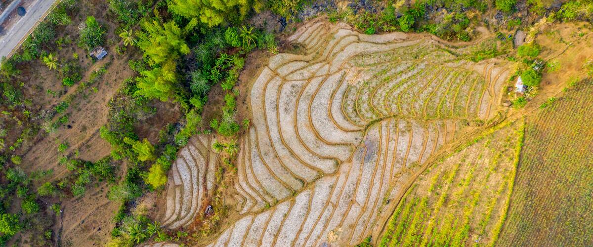 Terraced rice fields, a small white building, and dense green vegetation.
