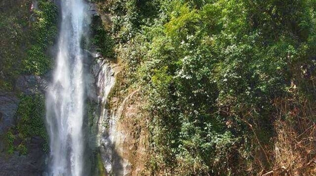 The tallest waterfalls in the province of Negros Occidental.