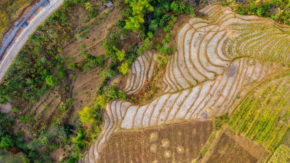 Rice Terraces, Cabagna-an Mansalanao, La Castellana, Neg. Occ., Philippines