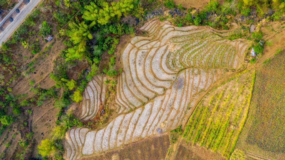 Rice Terraces, Cabagna-an Mansalanao, La Castellana, Neg. Occ., Philippines