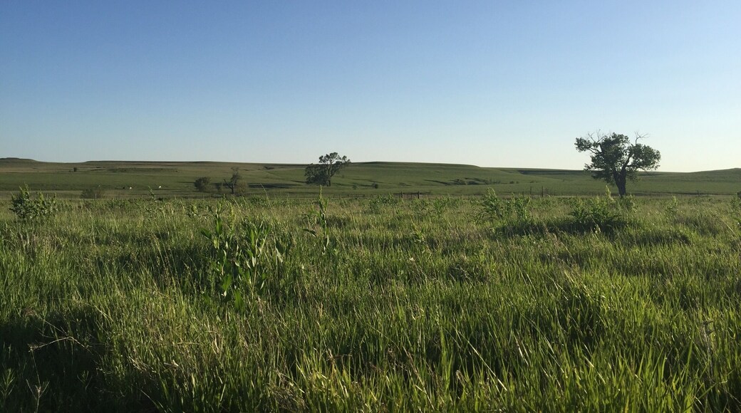 Beautiful place to explore the subtle beauty of the Flint Hills of Kansas. Especially beautiful near dawn and dusk when the shadows accentuate the curve of the land.