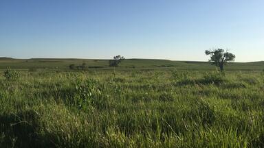 Beautiful place to explore the subtle beauty of the Flint Hills of Kansas. Especially beautiful near dawn and dusk when the shadows accentuate the curve of the land.