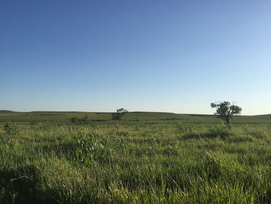 Beautiful place to explore the subtle beauty of the Flint Hills of Kansas. Especially beautiful near dawn and dusk when the shadows accentuate the curve of the land.