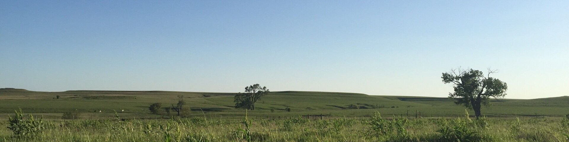 A grassy field with rolling hills and a clear blue sky.