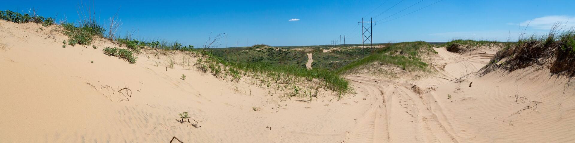 Syracuse Sand Dunes