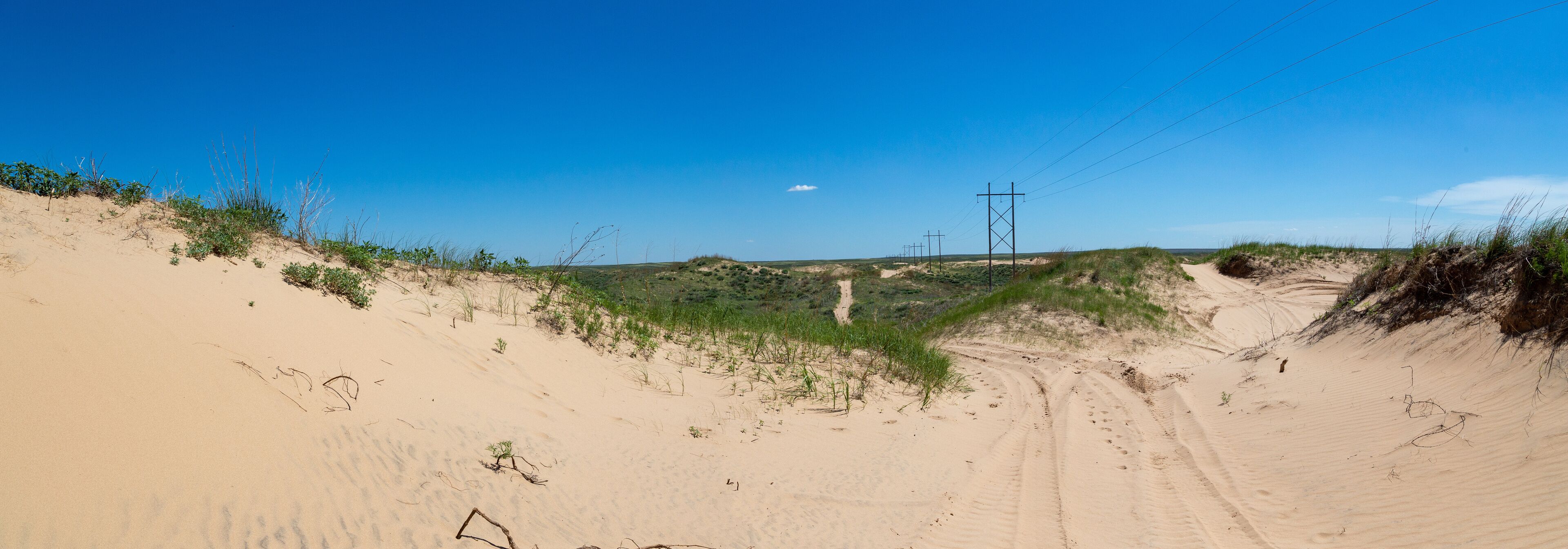 A sandy landscape with sparse vegetation and a clear blue sky.
