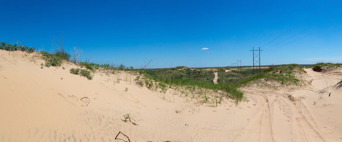 A sandy landscape with sparse vegetation and a clear blue sky.