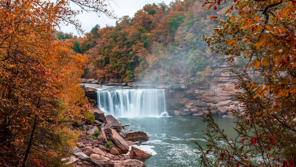 A waterfall surrounded by autumn foliage.