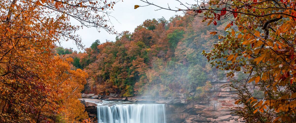 A waterfall surrounded by autumn foliage.