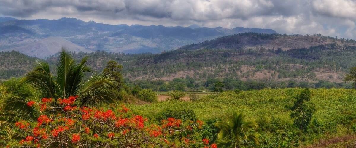 A mountainous landscape with green vegetation and red flowers in the foreground.