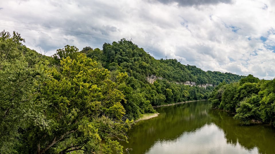 A river surrounded by dense green forest and a cloudy sky.