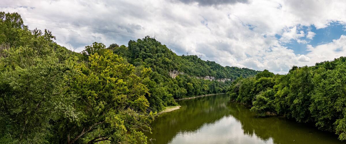 A river surrounded by dense green forest and a cloudy sky.