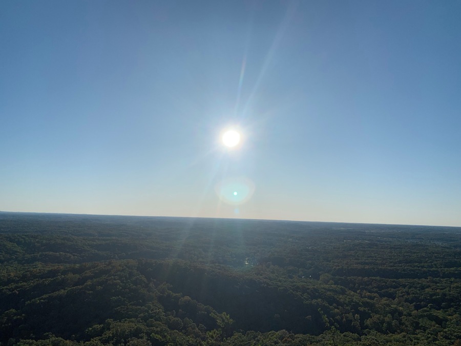 Where Daniel Boone first saw the bluegrass