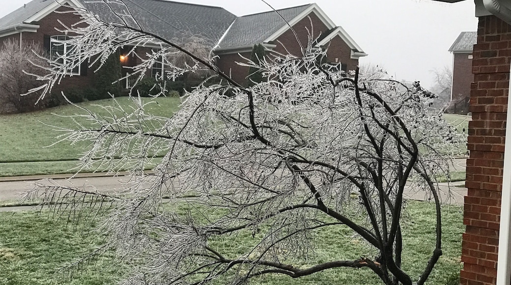 First frost of the year 😀
