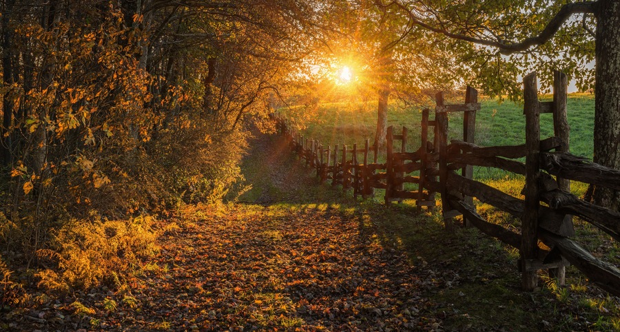 Late evening sunshine filtering through fall foliage with trailing split rail fence in the Cumberland Gap National Park