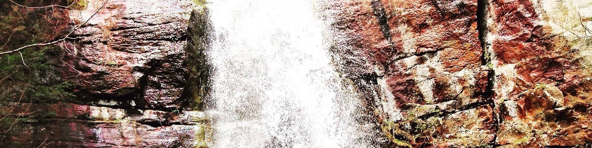 Bad branch fall; pine mountain!