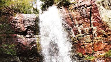 Bad branch fall; pine mountain!