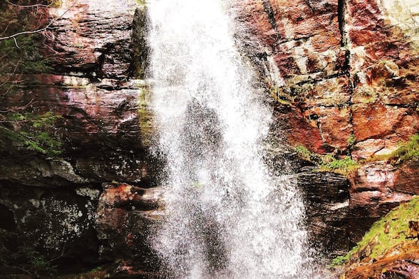 Bad branch fall; pine mountain!