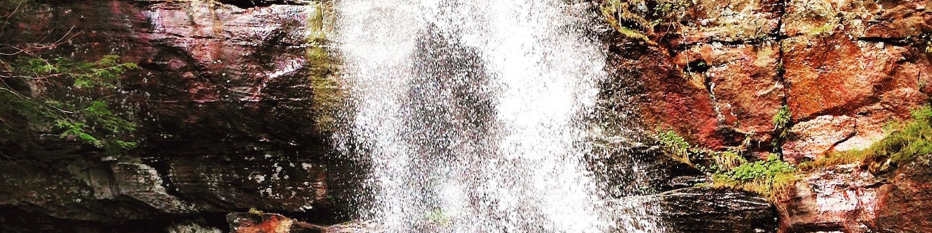 Bad branch fall; pine mountain!