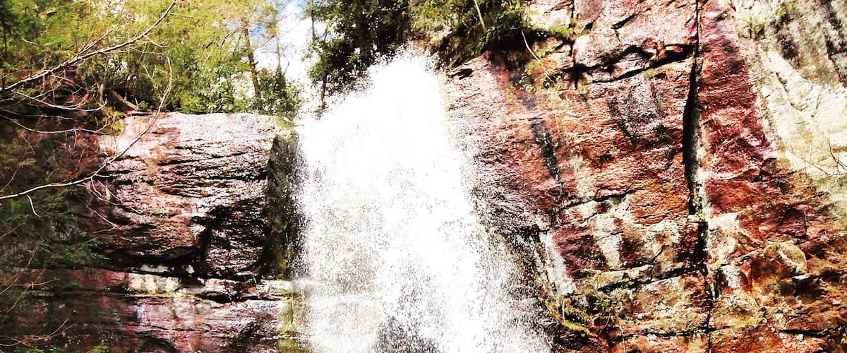 Bad branch fall; pine mountain!