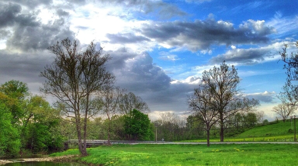 GPS Coordinates
38.44092701233735
-84.36108604073524