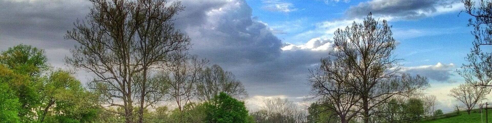 GPS Coordinates
38.44092701233735
-84.36108604073524