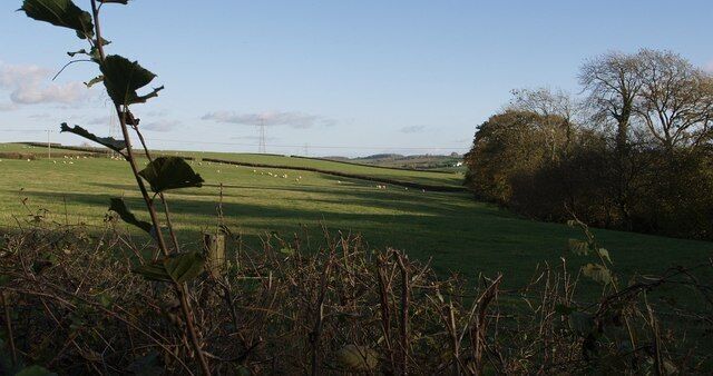 Near Litchardon A glimpse over a hedge of shadows drawing across a streamside field, from the twisting lane between Litchardon and Nottiston Cross.