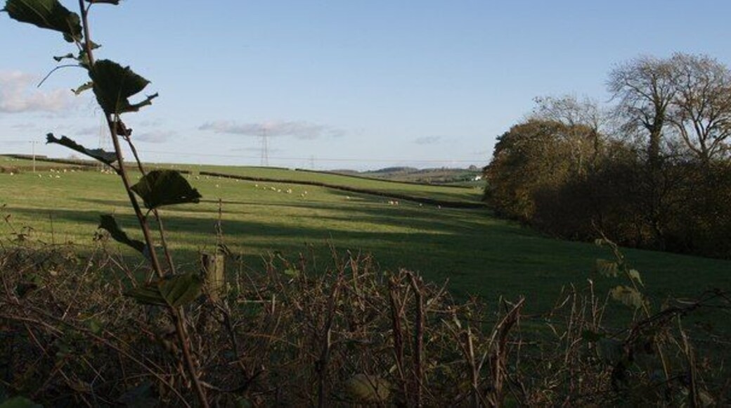 Near Litchardon A glimpse over a hedge of shadows drawing across a streamside field, from the twisting lane between Litchardon and Nottiston Cross.
