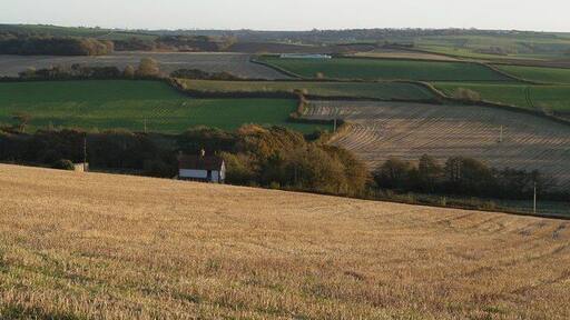 View over Pristacott West. From the same spot as 600256, this view looks across the same valley immediately west of the hamlet of Pristacott. The crooked field boundary is a legacy of the removal of others. Beyond are further parallel west-east valleys, all draining into Langham Lake.