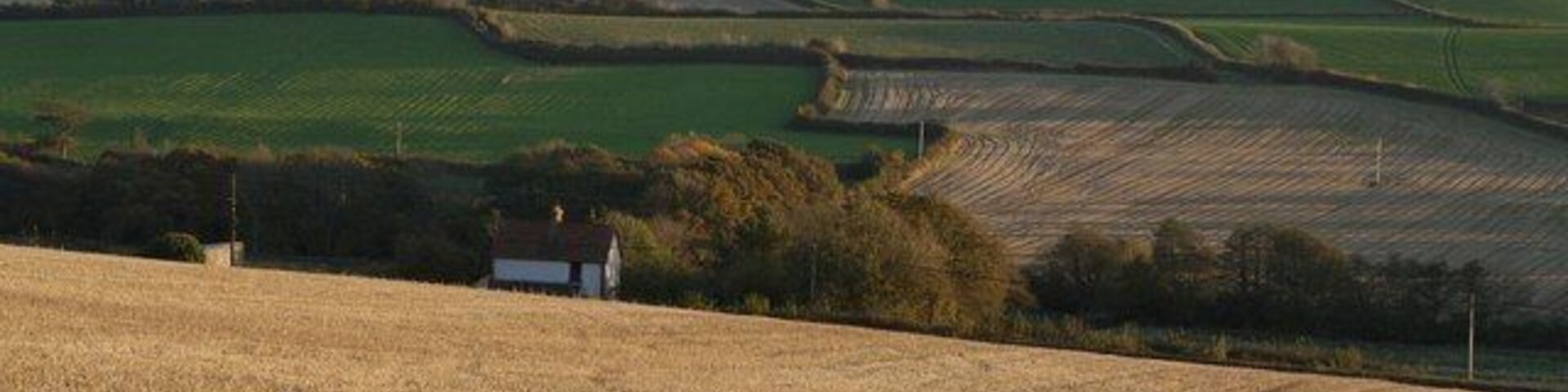 View over Pristacott West. From the same spot as 600256, this view looks across the same valley immediately west of the hamlet of Pristacott. The crooked field boundary is a legacy of the removal of others. Beyond are further parallel west-east valleys, all draining into Langham Lake.