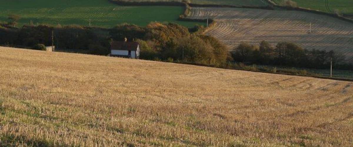 A rural landscape with rolling hills, fields, and a small white house.