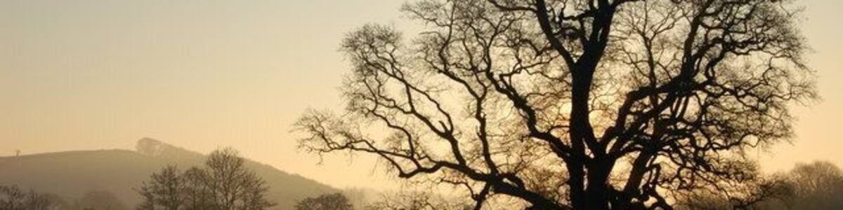 Frosty morning near New Bridge, Taw Valley, near Barnstaple. View from New Bridge across the Taw Valley. The River Taw can be seen in the distance.