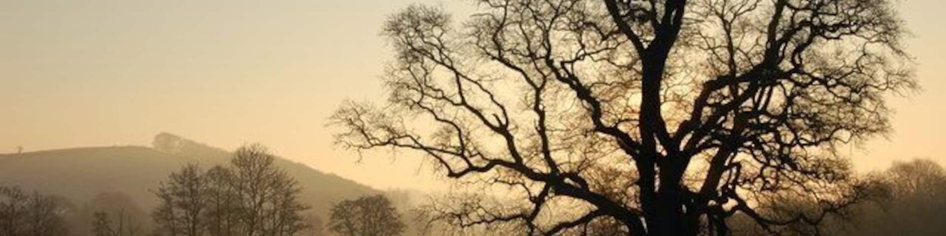 Frosty morning near New Bridge, Taw Valley, near Barnstaple. View from New Bridge across the Taw Valley. The River Taw can be seen in the distance.