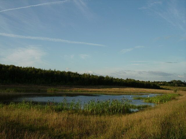 Godkin pond This pond has naturalised itself after all the land was replaced from previous coal mining/opencasting. A small stream on the OS Map but over the years this is now a beautiful place for birds and wildlife to enjoy.
