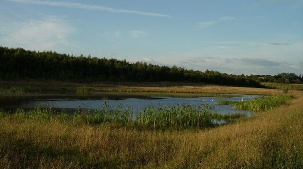 Godkin pond This pond has naturalised itself after all the land was replaced from previous coal mining/opencasting. A small stream on the OS Map but over the years this is now a beautiful place for birds and wildlife to enjoy.
